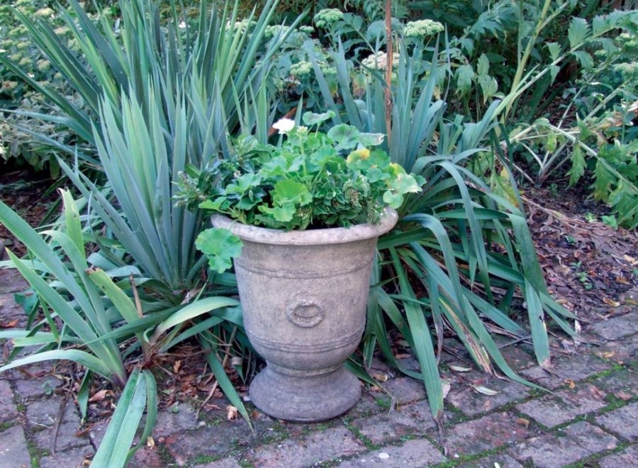 STATUES & SCULPTURES Modena 35 Vase Stone Garden Planter Online