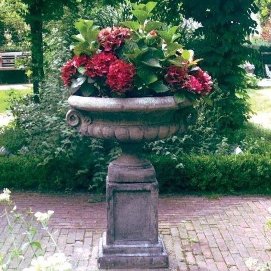 STATUES & SCULPTURES Edwardian Stone Garden Planter On Plain Pedestal Clearance